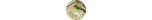 category image